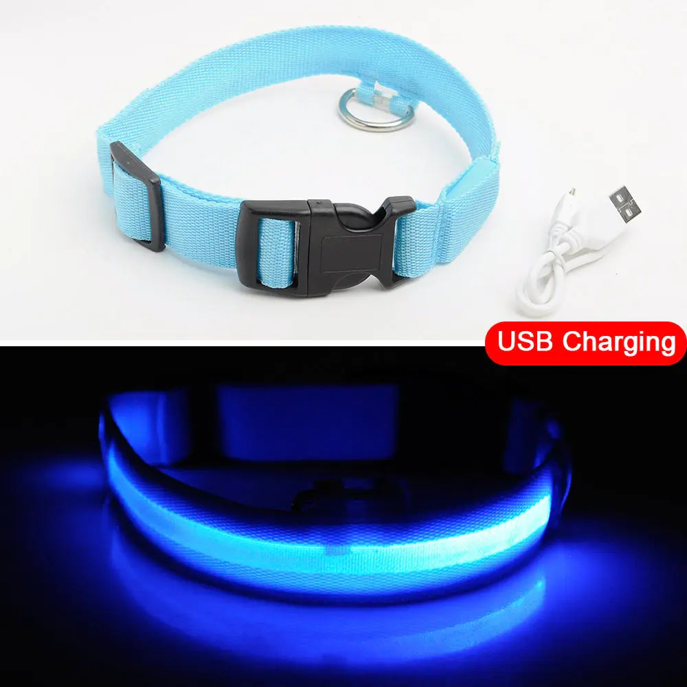 LED Tracking Dog Collar