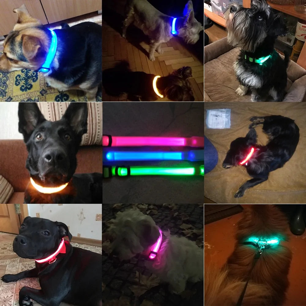 LED Tracking Dog Collar