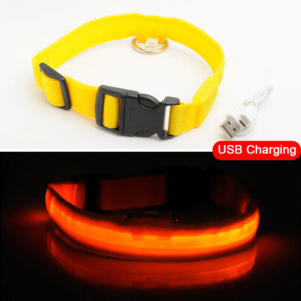 LED Tracking Dog Collar