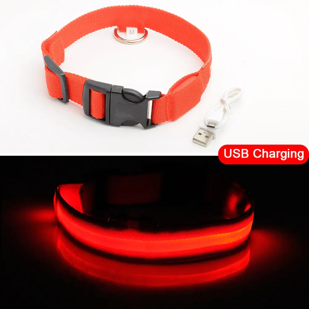 LED Tracking Dog Collar