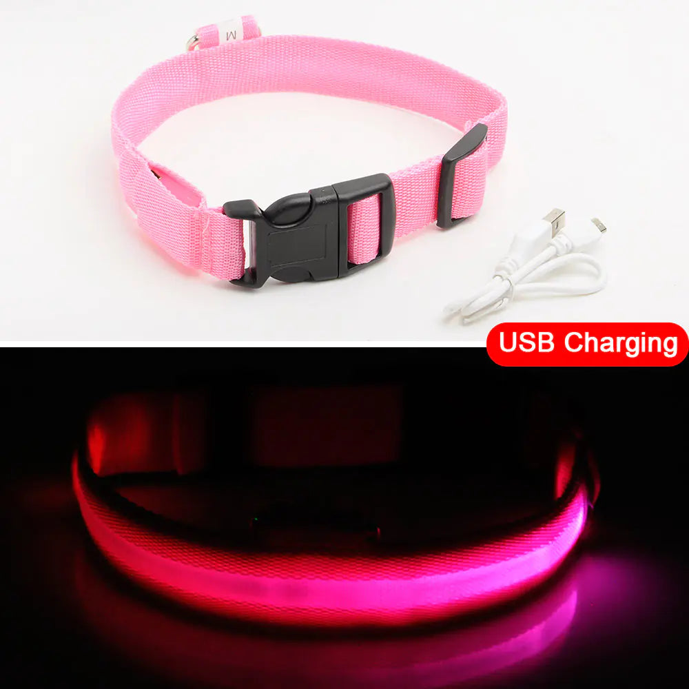 LED Tracking Dog Collar