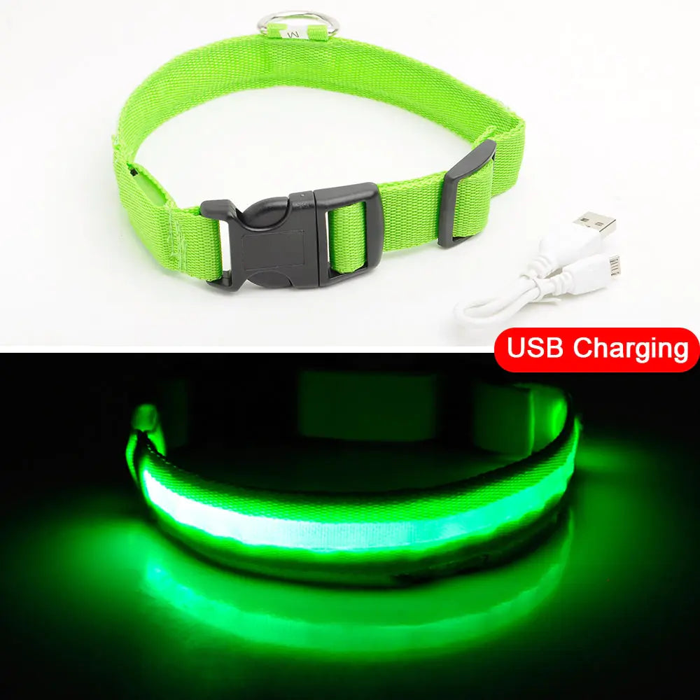 LED Tracking Dog Collar